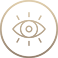 ICON EYE
